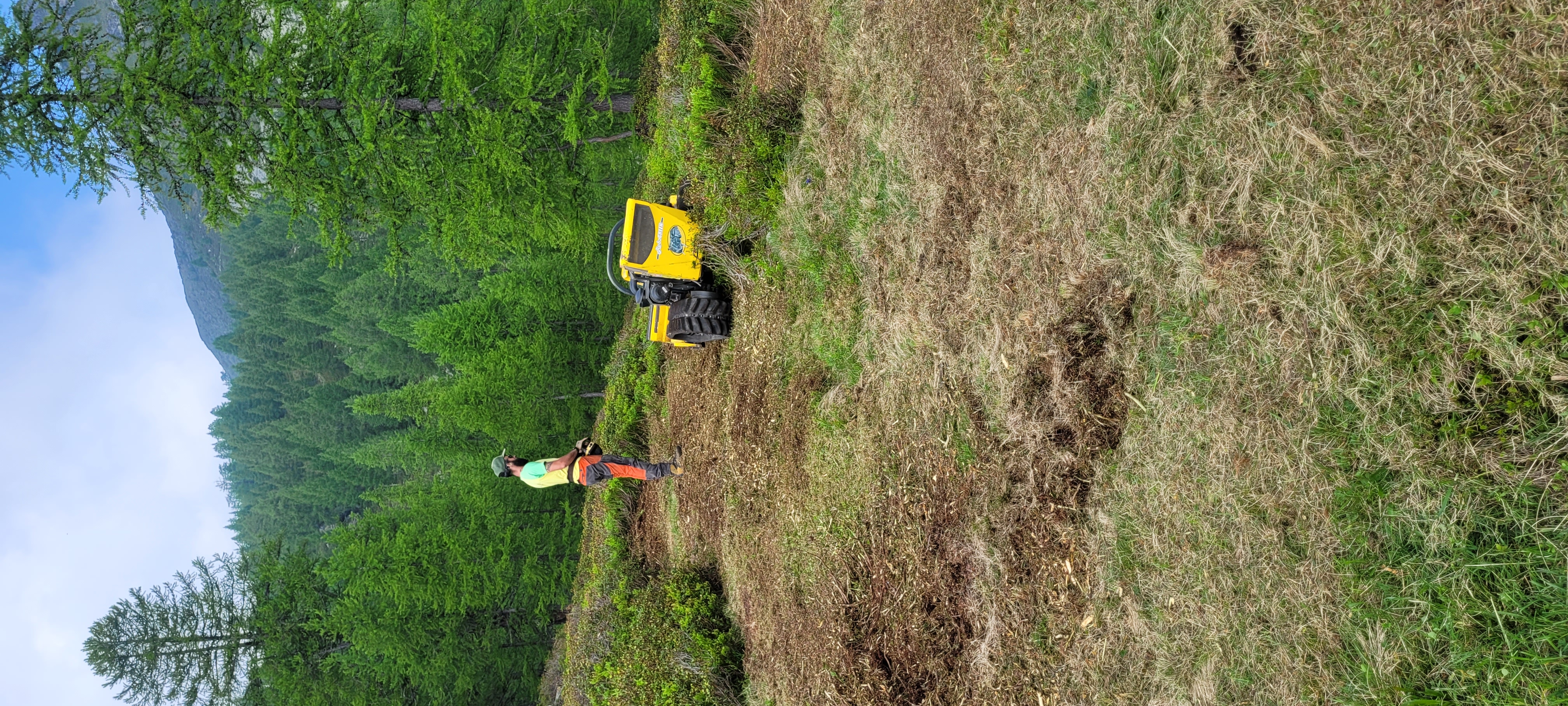 Salei 2025 intervento